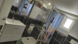 a bathroom with a shower and a toilet and a sink at Convivialetzen in Châtenoy-le-Royal +30 photos