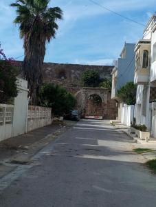 an empty street with a palm tree and a building at l'Olivier in La Goulette