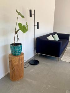 a living room with a blue couch and a potted plant at Hedwig und Paul in Mehring