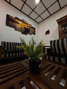 a living room with two couches and a plant on a table at Casa Bella Home in Ja-Ela