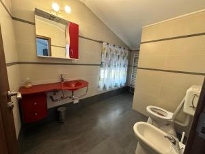 ein Badezimmer mit einem roten Waschbecken und einer Toilette in der Unterkunft Catana in Arad