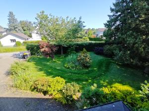 a yard with a green lawn with bushes and trees at Büchelblick Camping in Monschau