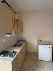 a small kitchen with a sink and a refrigerator at Hotel Iliana in Mandrotopos