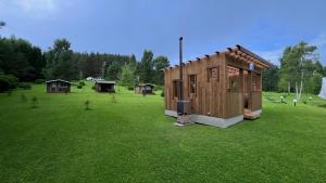 a small cabin in a field of green grass at Välgi Puhkepesa in Välgi