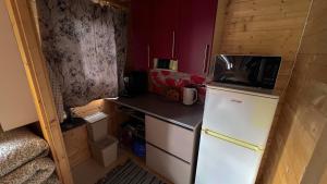 a small kitchen with a refrigerator and a microwave at Välgi Puhkepesa in Välgi +31 photos
