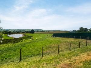 a herd of sheep in a field with a fence at Poundgate Lodge in Knighton +15 photos