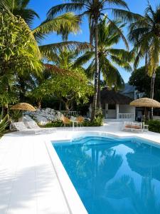 a swimming pool with palm trees in the background at Cocoon Signature in Flic-en-Flac