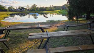 a group of benches in front of a lake at Antsu Puhkeala Matkamaja in Nüpli