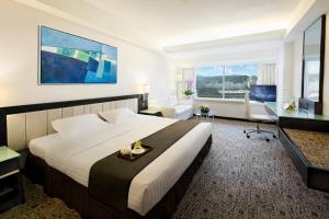 TV o dispositivi per l'intrattenimento presso Regal Riverside Hotel