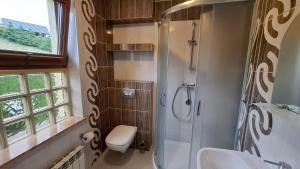 a bathroom with a shower and a toilet and a sink at U Mateusza 607-737-859 Widok na Jezioro Solińskie in Polańczyk