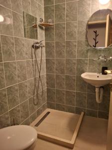 a bathroom with a shower and a toilet and a sink at Apartment Moki in Lastva