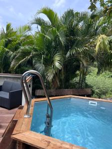 a swimming pool with a faucet in a yard with palm trees at Villas smoothie SYCARO in Le François