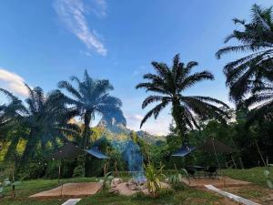 a group of palm trees and umbrellas at a resort at KhaoSok Malin Glamping in Ban Bang Thong