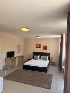 a large room with a bed and a television at Top Center House in Plovdiv