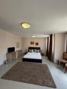 a large room with a bed and a television at Top Center House in Plovdiv