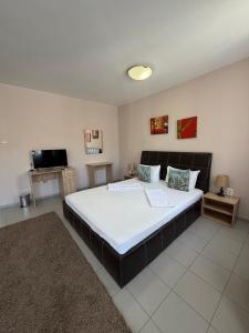 a bedroom with a large bed in a room at Top Center House in Plovdiv