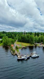 three boats are docked in a river with trees at Saimaa Experience - laivamajoitus in Puumala