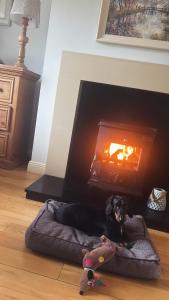 a dog laying on a dog bed in a fireplace at Southeast Getaway in Limerick
