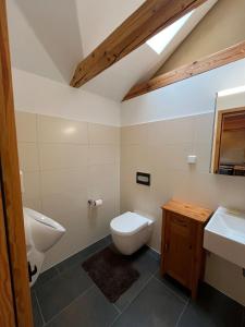 a bathroom with a toilet and a sink at Studio-Style Apartment in Spreenhagen