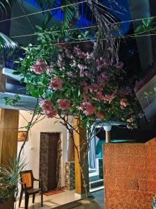 a tree filled with flowers in a building at Dver Prirody in Kovalam +5 photos