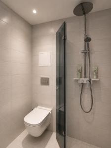 a bathroom with a toilet and a shower at AM Apartment in Tallinn