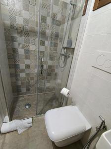 a bathroom with a shower and a toilet and a sink at Masseria Santa Laria in Borgagne
