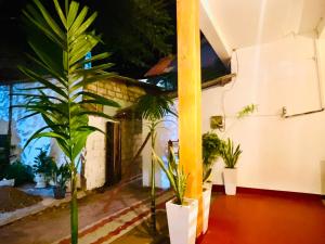 a room with potted plants in front of a building at Soul Breeze in Arugam Bay