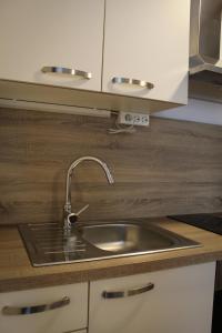 a stainless steel sink in a small kitchen at Studio Henigman in Dolenja Vas +16 photos