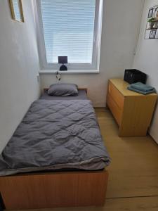 a small room with a bed and a window at Salem apartmany in Radava