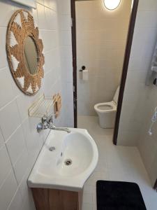 a bathroom with a sink and a mirror and a toilet at Salem apartmany in Radava