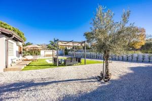 a tree in the middle of a gravel yard at Casa Fortunata in Kaštel