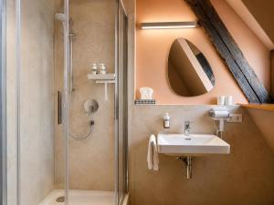 a bathroom with a shower and a sink at Malerweg Residenz in Pirna +53 photos