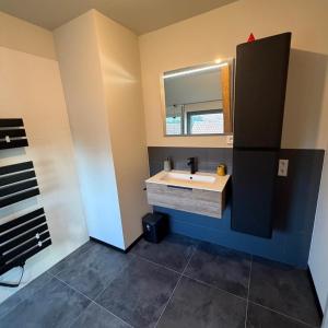 a bathroom with a sink and a mirror at Charmant studio climatisé Kintzheim in Kintzheim