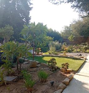 a garden with palm trees and grass and a sidewalk at Little paradise in Limassol