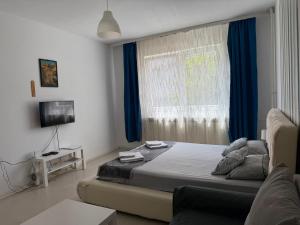 a bedroom with a bed and a window with blue curtains at Apartment Gajic in Belgrade