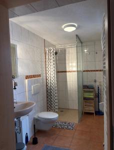 a bathroom with a shower and a toilet and a sink at Ferienwohnung im Ort in Röbel +9 photos