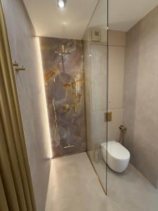 a bathroom with a shower and a toilet at Apartament - VIDOK 110 in Olsztyn