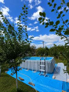 a swimming pool in a yard with a tree at Ordinacija pod šljivom in Pirot