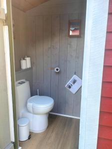 a bathroom with a toilet and a newspaper on the wall at Schwedenhaus am See in Storfors +57 photos