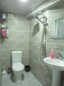a bathroom with a toilet and a sink at Lana Apartment in Tbilisi City