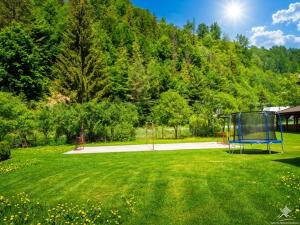 a park with a blue goal in the grass at Chata Sipkova I in Terchová