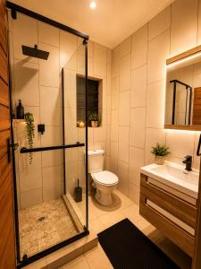 a bathroom with a shower and a toilet and a sink at Lloyds - 6 in Ermelo +8 photos