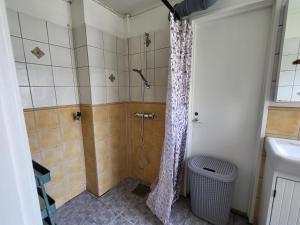 a bathroom with a shower and a sink at Smedstugan in Norrköping