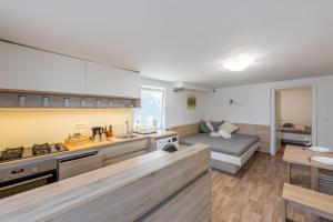 a kitchen with a couch and a bed in a room at Poli in Šmarje-Sap