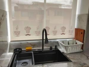 a kitchen with a sink and a window with plants in a window sill at Suite La Frontera in Tulcán