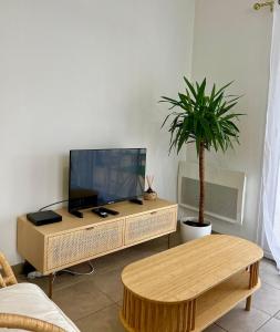 a living room with a tv and a potted plant at EKR Résidence - Terrasse Privée 2 in Carbon-Blanc