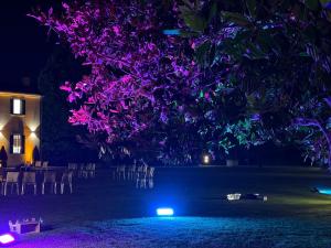 a night shot of a tree with purple lights at Il Salice Country Luxury in Due Carrare