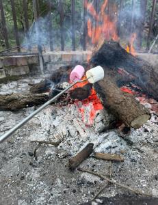 a fire with a cooking utensil and a spatula at La Bella Vita Marloth Park in Marloth Park