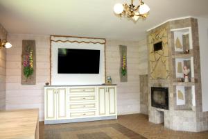 a living room with a television and a fireplace at Leśny Dworek 1 in Wołkowyja