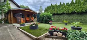 a garden with plants and flowers in a yard at Gästezimmer Hönow bei Berlin in Hoppegarten